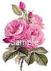  decals $ 8 99 listed jul 06 17 54 dreamy trio roses shabby