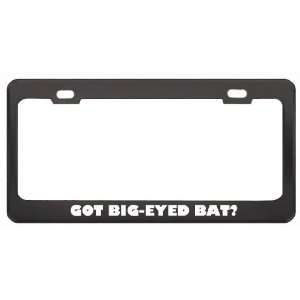 Got Big Eyed Bat? Animals Pets Black Metal License Plate Frame Holder 