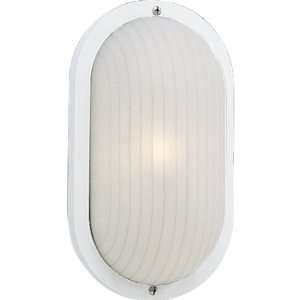   30 Polycarbonate Mount Incandescent 1 Light Wall or Ceiling Fixture in