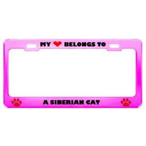Siberian Cat Pet Pink Metal License Plate Frame Tag Holder