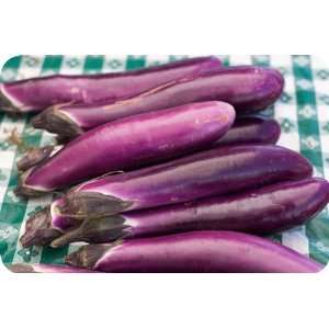 Italian Eggplant   Avg 10 Lb Case  Grocery & Gourmet Food
