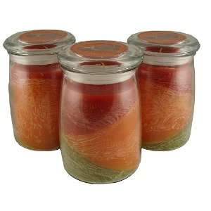   Layer Cinnamon Snap Scented 19 Oz. Jar Candles