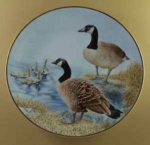 The Waterbird Plates Plate CANADA GOOSE Eric Tenney  
