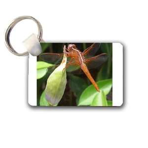  Dragonfly Keychain Key Chain Great Unique Gift Idea 