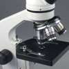   light microscope for use with viewing biological specimens on slides