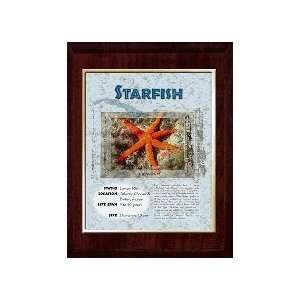  Marine (Star Fish) Animal Planet Products 10 x 13 Plaque 
