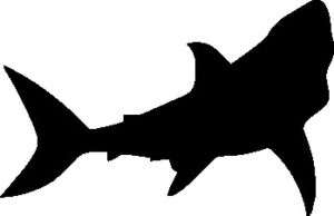 GREAT WHITE SHARK SILHOUETTE CAR DECAL STICKER  
