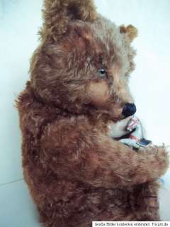 ANTIQUE STEIFF TEDDY BEAR 1904 BROWN w. GROWLER 25.6 INCHES TALL 