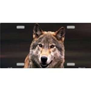  Wolf License Plates Plate Tag Tags auto vehicle car front 
