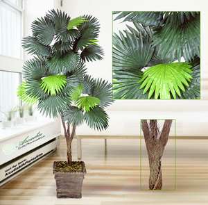 Fan Palm x3 Artificial Tree Silk Plant NEW 665  