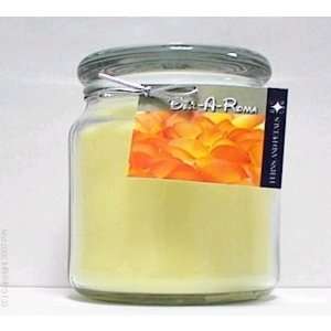   Classic Jar Candle   Ferns & Petals _jp33 