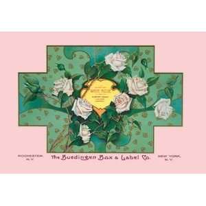  White Rose Soap   Paper Poster (18.75 x 28.5)
