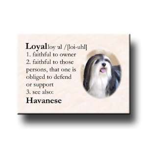  Havanese Dictionary Loyal Fridge Magnet No 2 Everything 
