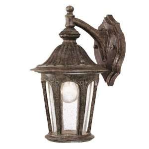 Acclaim Lighting 1550BC Wyndham Extra Small Outdoor Sconce 