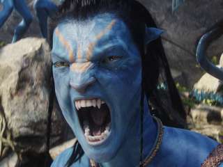 Avatar (Extended Collectors Edition) [Blu ray] Worthington / Saldana 