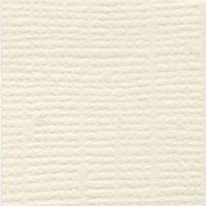   12X12 French Vanilla/Grass Clo [Office Product] 