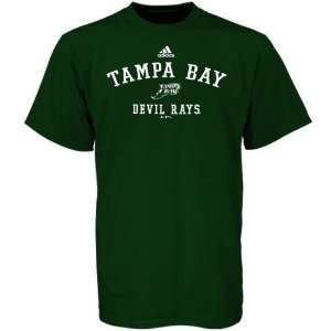  Adidas Tampa Bay Rays Green Practice T shirt Sports 