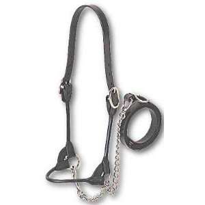   Round Leather Halter   XL (1650 lbs and up cattle)