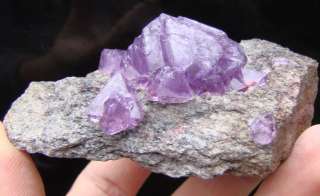     Purple ALUNITE Crystals   Lovely Cluster on Matrix  Poland  