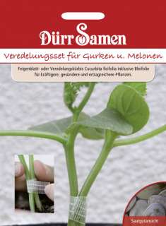 1141 Veredelungssets für Gurken und Melonen  