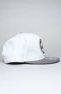 TRUKFIT The Feelin Spacey Snapback Cap in Grey  Karmaloop 