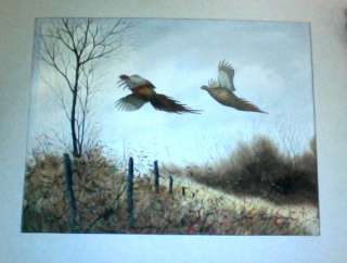 David Hagerbaumer Original Signed Water color painting Gamebirds 