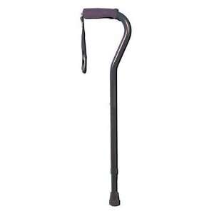   Aluminum Cane Blue Wave (Catalog Category Mobility Products / Canes