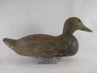 Black Duck Decoy by Animal Trap of Mississippi Solid with Long Stamp 
