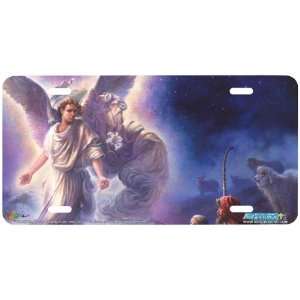   Angel License Plate Car Auto Novelty Front Tag by Tom duBios from