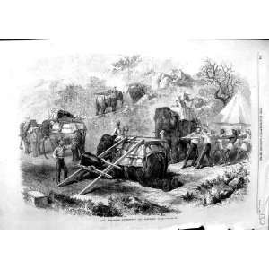   ABYSSINIAN EXPEDITION ELEPHANT TRAIN ANTIQUE PRINT