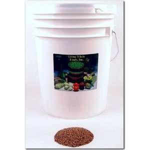   Organic Red Clover Sprouting Seeds For Sprouts   Sprout Seed   35 Lbs
