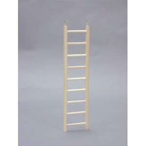  Top Quality Wood Parrot Ladder 18