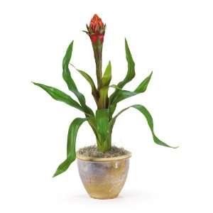  Single Flame Bromeliad Silk Arrangement