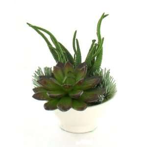  Cactus Aloe Mix Artificial Plant with Pot