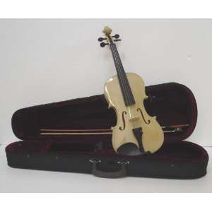   Carrying Case + Bow + Accessories   Golden Color Musical Instruments