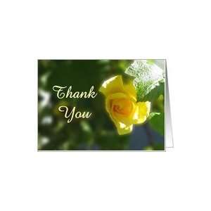  Thank you for condolences sympathy   yellow rose flower 