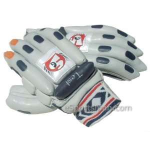  SG Test Cricket Batting Gloves