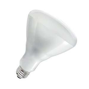   International HTLP BULB W Heat Lamp Light Bulb   White