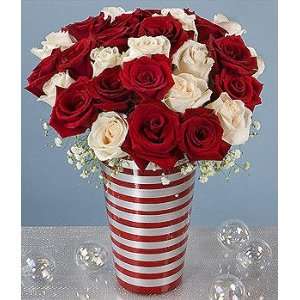  Two Dozen Long Stem Candy Cane Roses with Free Vase Patio 