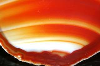 Orange Color Agate Slice Museam Value Ideal Gift 124  