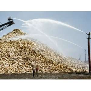  Men Spray Water on Pulpwood to Guard Against Fire During 