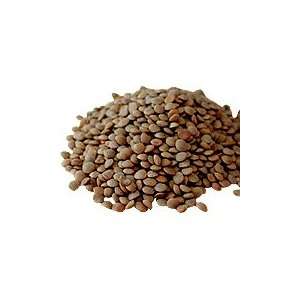  Organic Red Lentil Sprouting Seed   Lens culinaris, 1 lb 