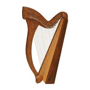  29 String Minstrel Harp   NYLON CASE & 2 FREE PLAY BOOKS 