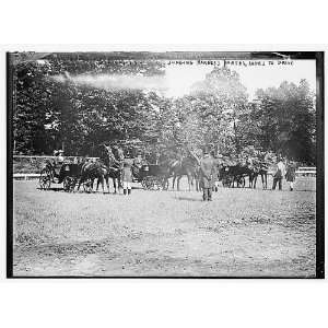  Photo Plainfield, Judging Harness Horses, Ladies to drive 