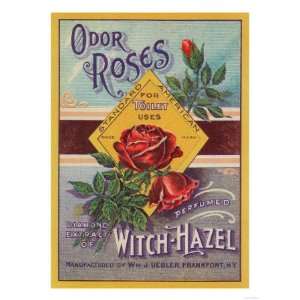 Odor Roses Witch Hazel Label   Frankfort, NY Premium Poster Print 