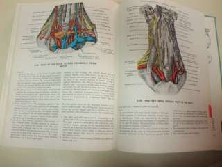   of anatomy by james e anderson md the heavily illustrated medical