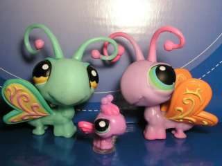 Littlest pet shop New butterfly family Mom dad teensies baby Lot 