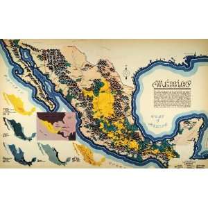 Print Map Mexico Gulf Topography Resources Oil Merida Saltillo Mining 