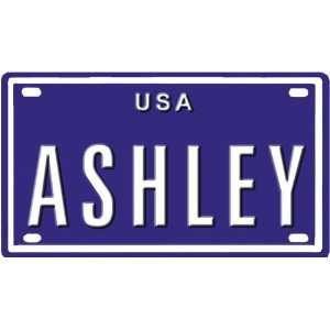  ASHLEY USA BIKE LICENSE PLATE. OVER 400 NAMES AVAILABLE 