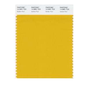  PANTONE SMART 14 0951X Color Swatch Card, Golden Rod